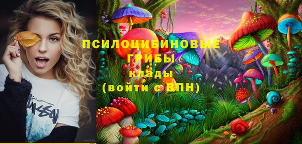 шишки Заволжск