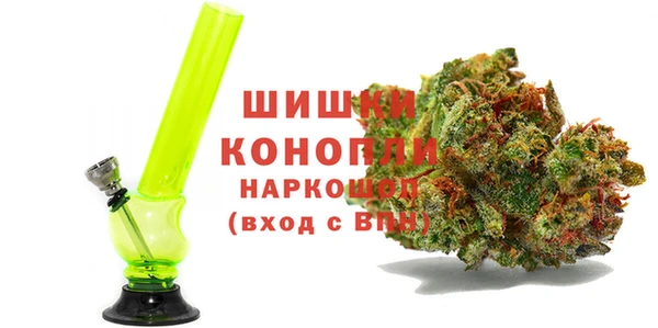 шишки Заволжск