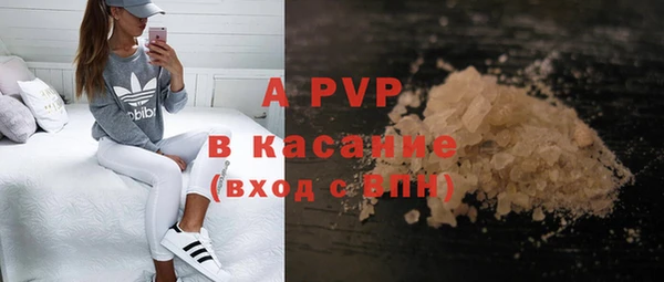 шишки Заволжск