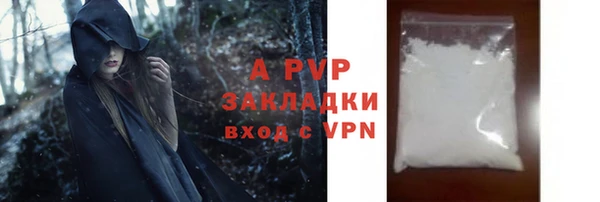 шишки Заволжск