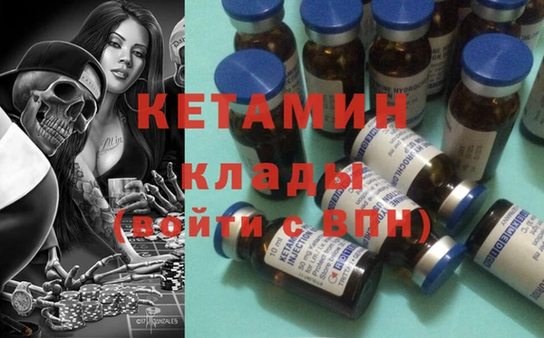 шишки Заволжск