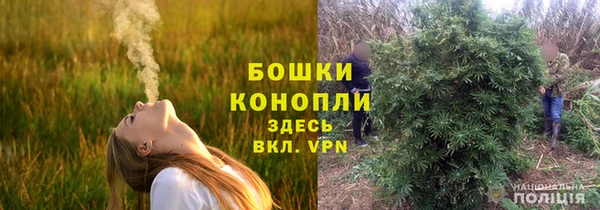 шишки Заволжск