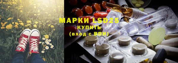 шишки Заволжск