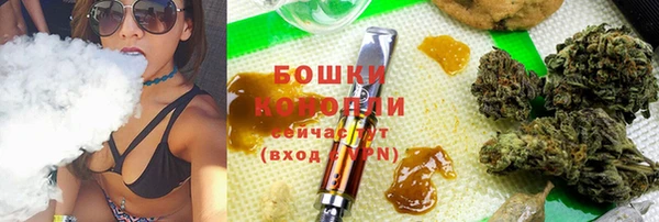 шишки Заволжск