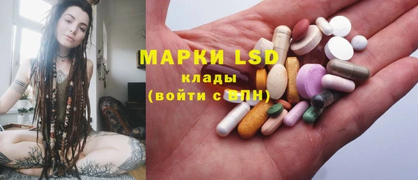 шишки Заволжск