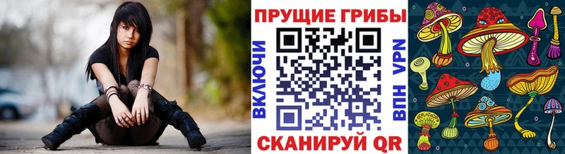 Купить где  Похвистнево  Галлюциногенные грибы GOLDEN TEACHER 